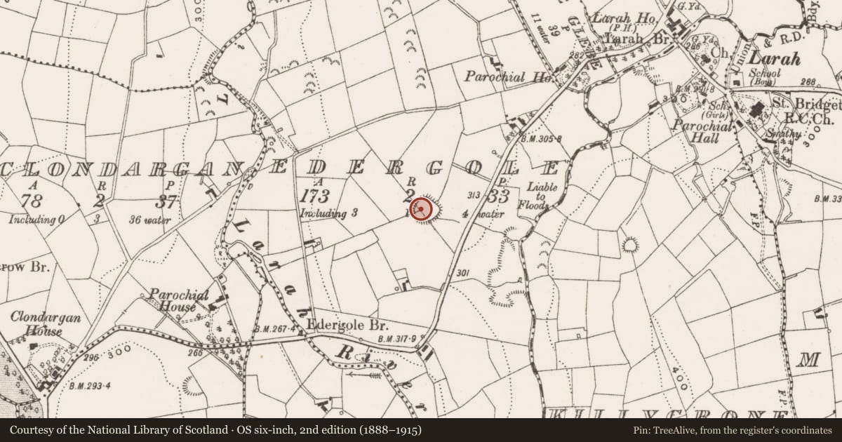 Ordnance Survey six-inch map, 2nd edition (1888–1915) covering the location of Ringfort - rath, Edergole, County Cavan, with a pin at the register's coordinates