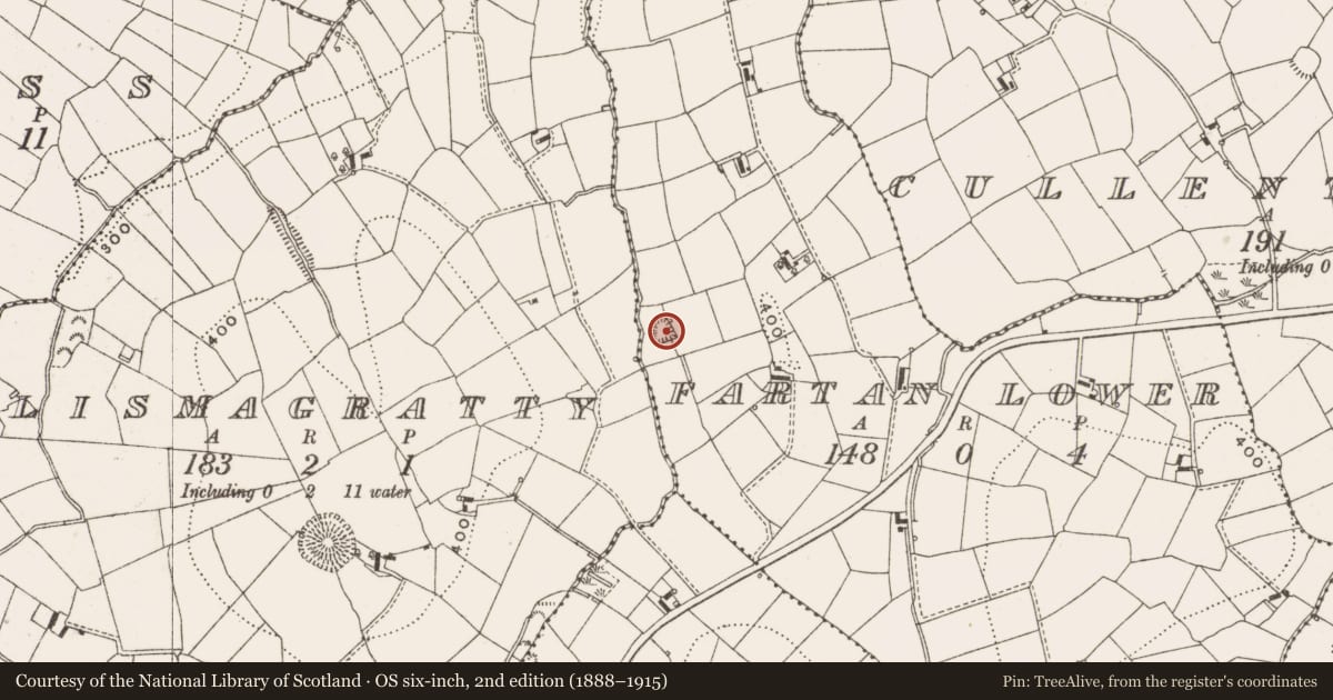 Ordnance Survey six-inch map, 2nd edition (1888–1915) covering the location of Enclosure, Fartan Lower, County Cavan, with a pin at the register's coordinates
