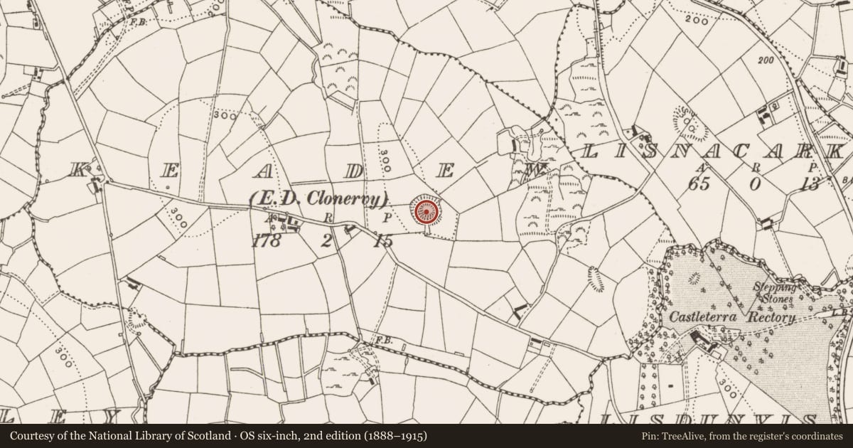 Ordnance Survey six-inch map, 2nd edition (1888–1915) covering the location of Ringfort - rath, Keadew, County Cavan, with a pin at the register's coordinates