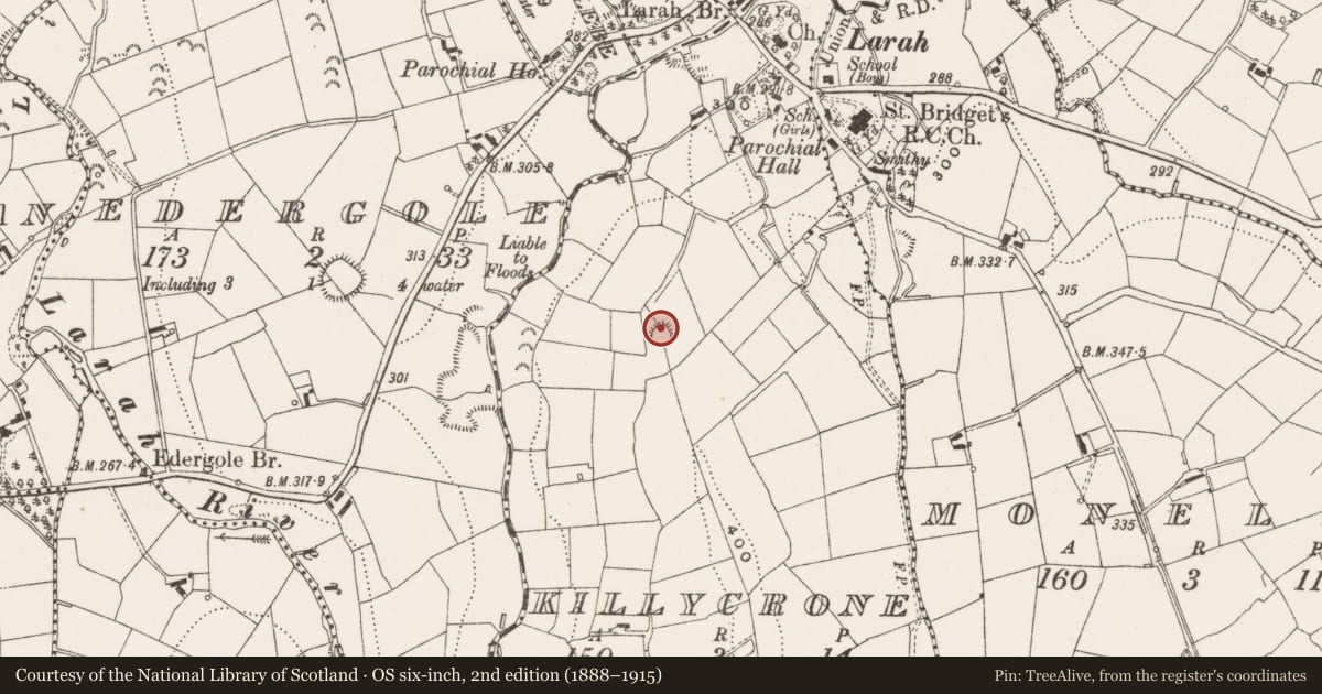 Ordnance Survey six-inch map, 2nd edition (1888–1915) covering the location of Ringfort - rath, Killycrone, County Cavan, with a pin at the register's coordinates