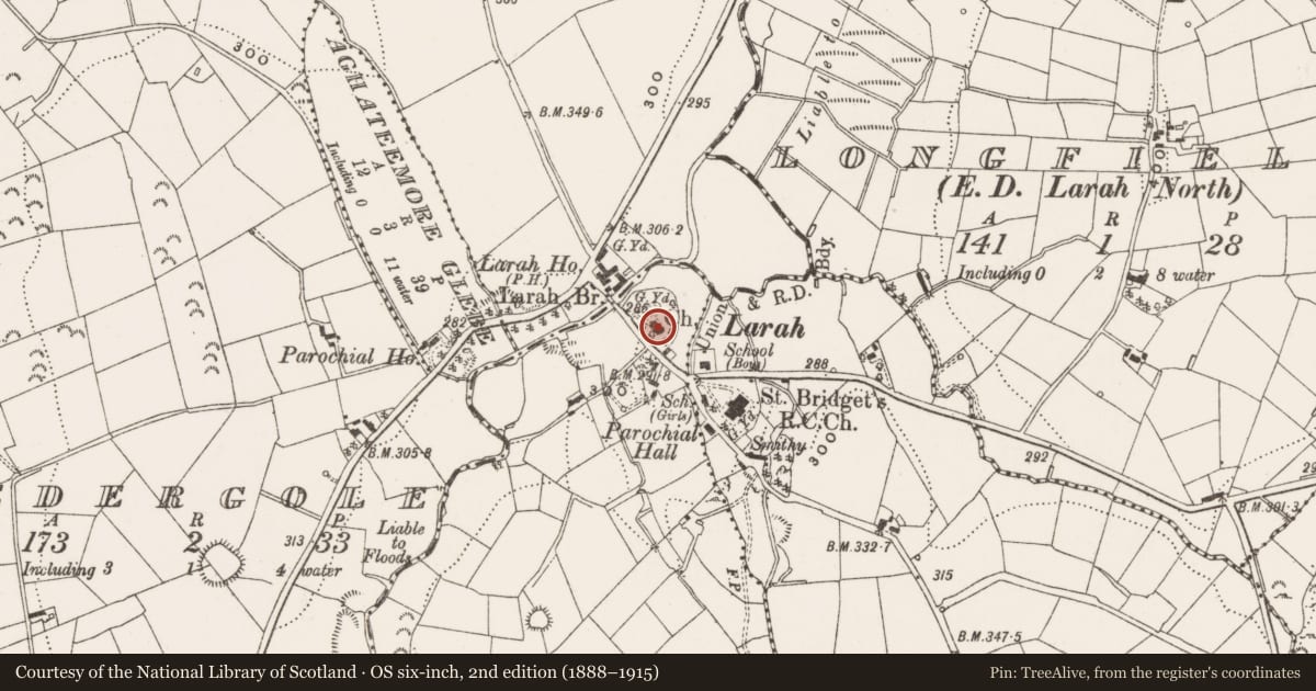 Ordnance Survey six-inch map, 2nd edition (1888–1915) covering the location of Church, Killycrone, County Cavan, with a pin at the register's coordinates
