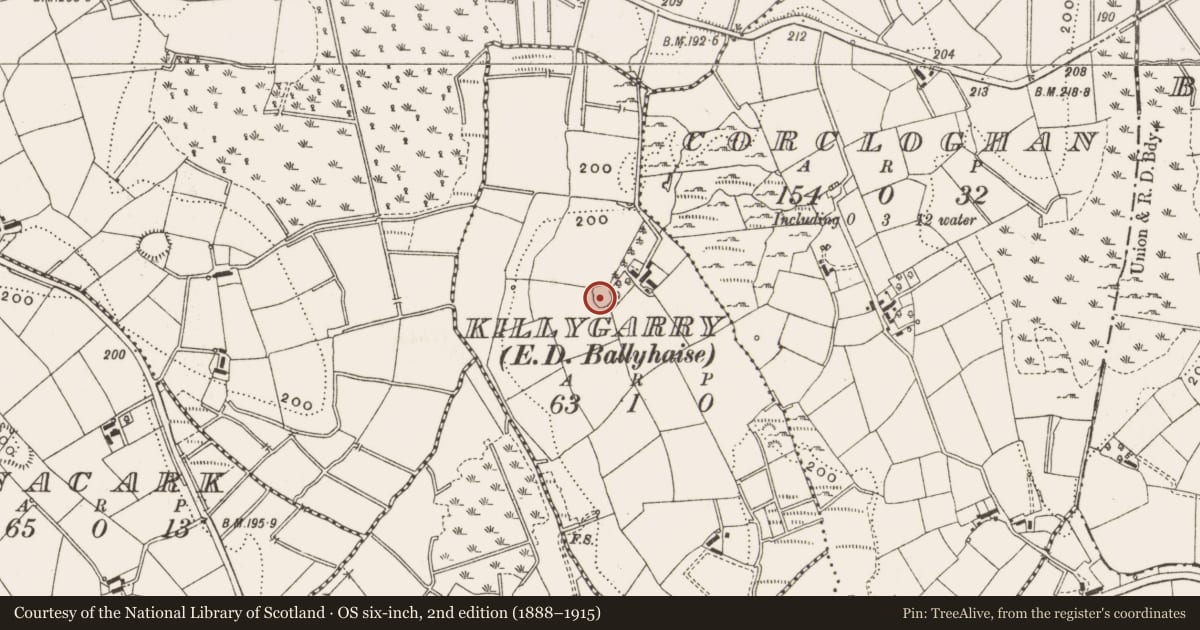 Ordnance Survey six-inch map, 2nd edition (1888–1915) covering the location of Ringfort - rath, Killygarry, County Cavan, with a pin at the register's coordinates
