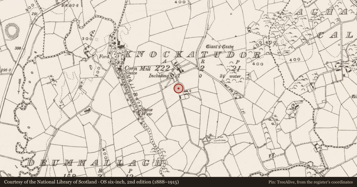 Ordnance Survey six-inch map, 2nd edition (1888–1915) covering the location of Ringfort - rath, Knockatudor, County Cavan, with a pin at the register's coordinates