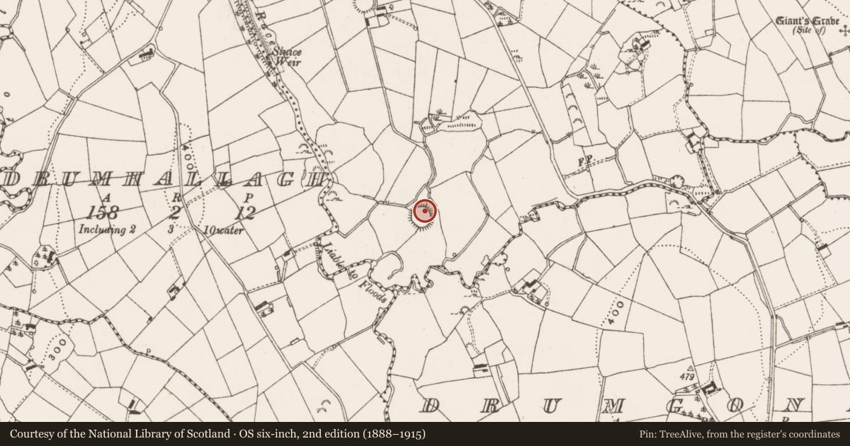Ordnance Survey six-inch map, 2nd edition (1888–1915) covering the location of Ringfort - rath, Knockatudor, County Cavan, with a pin at the register's coordinates