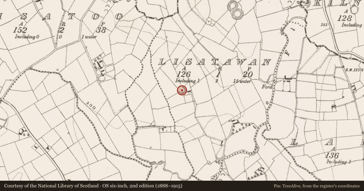 Ordnance Survey six-inch map, 2nd edition (1888–1915) covering the location of Ringfort - rath, Lisatawan, County Cavan, with a pin at the register's coordinates
