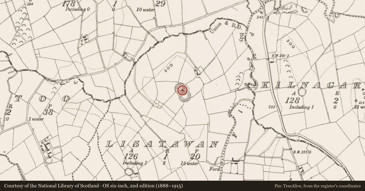Ordnance Survey six-inch map, 2nd edition (1888–1915) covering the location of Ringfort - rath, Lisatawan, County Cavan, with a pin at the register's coordinates