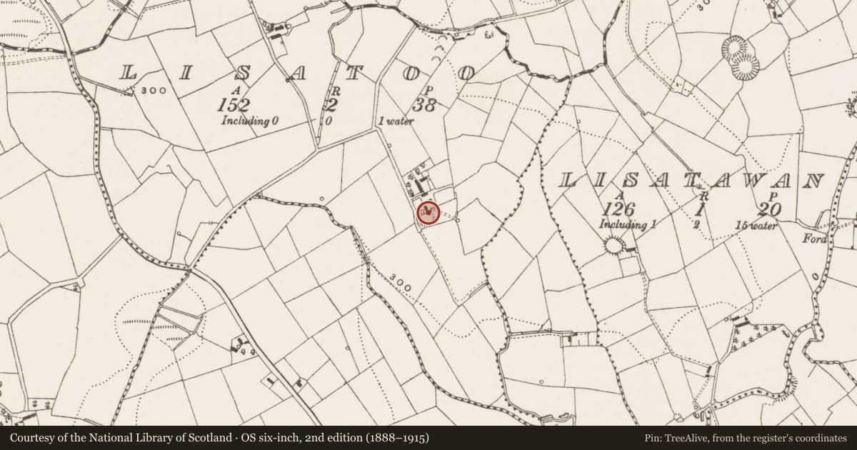 Ordnance Survey six-inch map, 2nd edition (1888–1915) covering the location of Ringfort - rath, Lisatoo, County Cavan, with a pin at the register's coordinates
