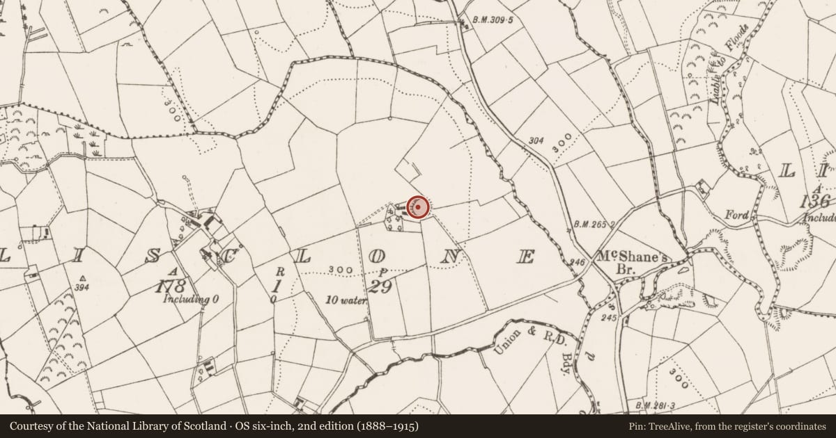Ordnance Survey six-inch map, 2nd edition (1888–1915) covering the location of Ringfort - rath, Lisclone, County Cavan, with a pin at the register's coordinates