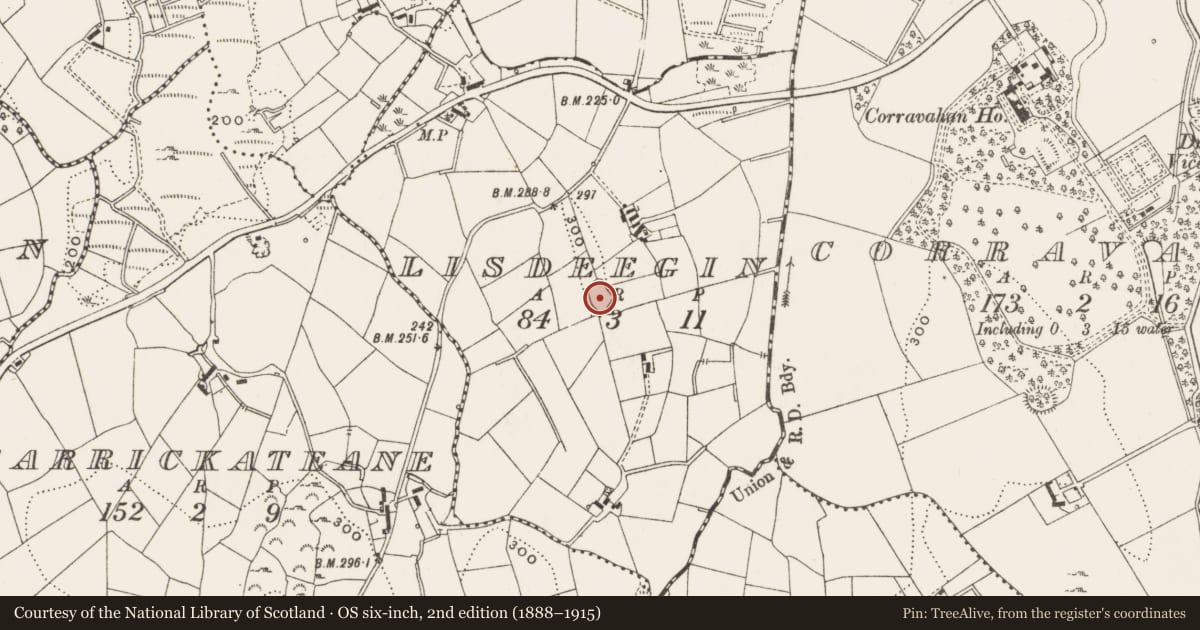Ordnance Survey six-inch map, 2nd edition (1888–1915) covering the location of Ringfort - rath, Lisdeegin, County Cavan, with a pin at the register's coordinates