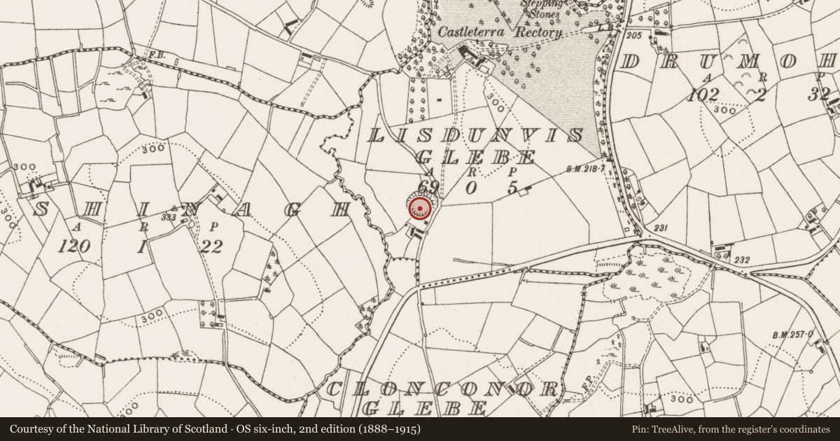Ordnance Survey six-inch map, 2nd edition (1888–1915) covering the location of Ringfort - rath, Lisdunvis Glebe, County Cavan, with a pin at the register's coordinates