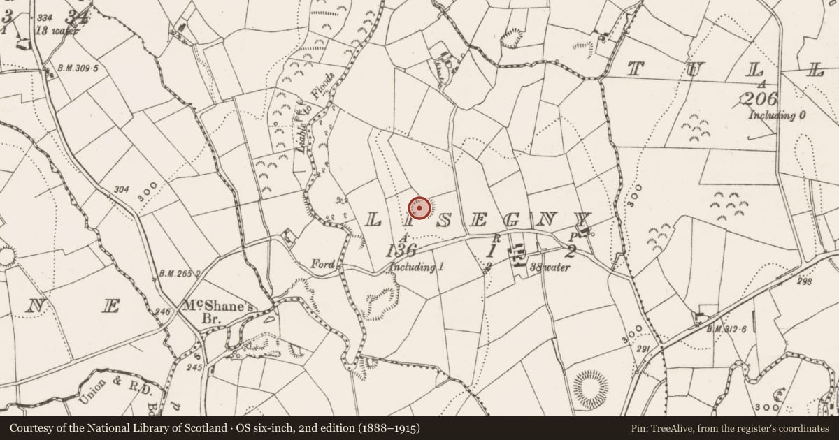 Ordnance Survey six-inch map, 2nd edition (1888–1915) covering the location of Ringfort - rath, Lisegny, County Cavan, with a pin at the register's coordinates