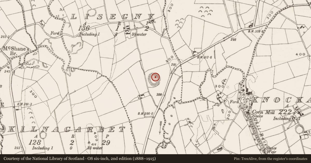 Ordnance Survey six-inch map, 2nd edition (1888–1915) covering the location of Ringfort - rath, Lisegny, County Cavan, with a pin at the register's coordinates