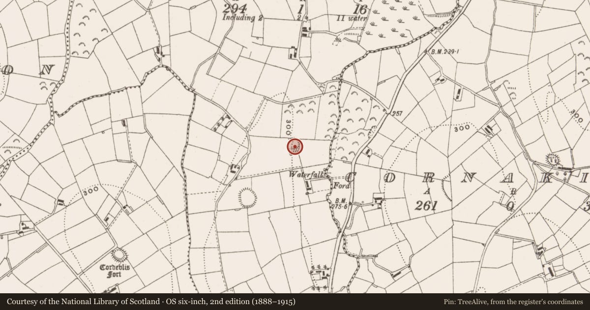 Ordnance Survey six-inch map, 2nd edition (1888–1915) covering the location of Ringfort - rath, Lisgannon, County Cavan, with a pin at the register's coordinates