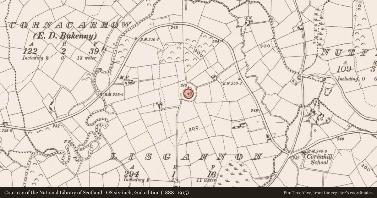 Ordnance Survey six-inch map, 2nd edition (1888–1915) covering the location of Ringfort - rath, Lisgannon, County Cavan, with a pin at the register's coordinates