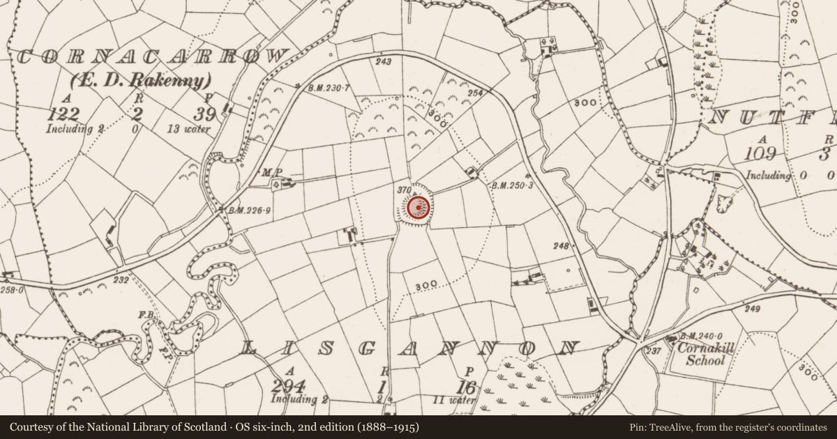 Ordnance Survey six-inch map, 2nd edition (1888–1915) covering the location of Bawn, Lisgannon, County Cavan, with a pin at the register's coordinates
