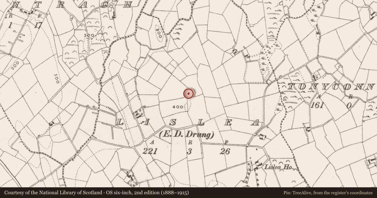 Ordnance Survey six-inch map, 2nd edition (1888–1915) covering the location of Ringfort - rath, Lislea, County Cavan, with a pin at the register's coordinates