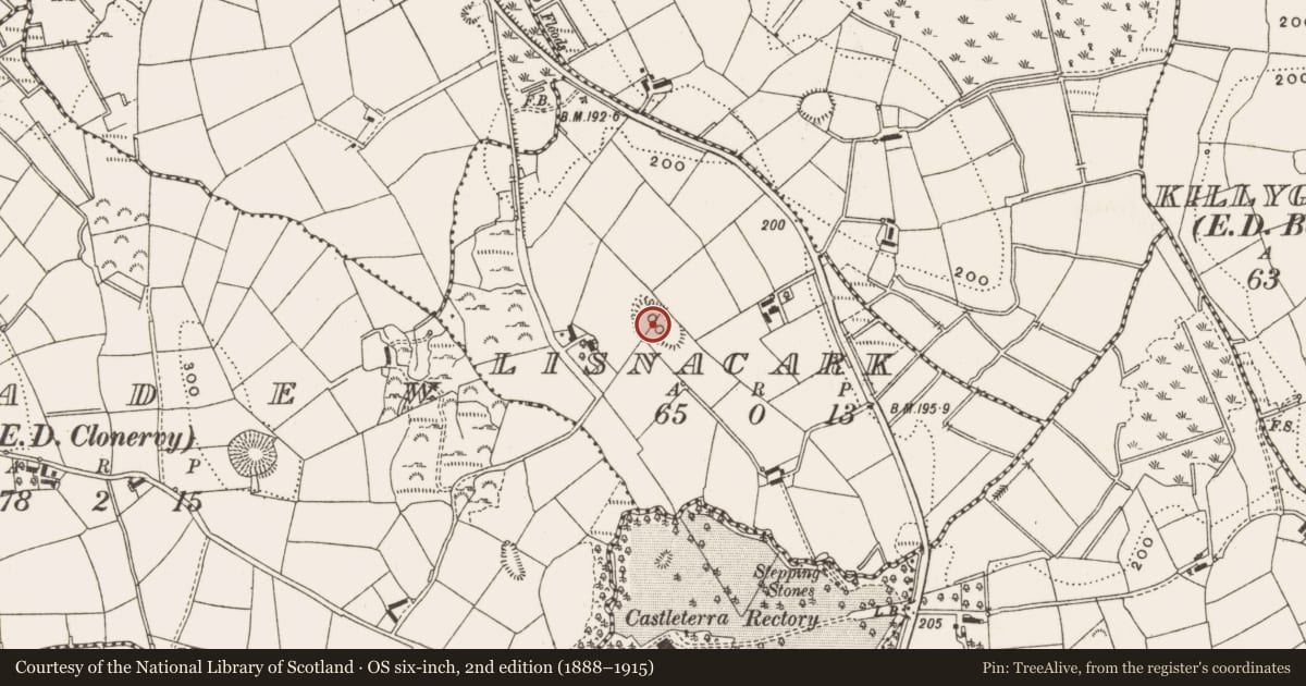 Ordnance Survey six-inch map, 2nd edition (1888–1915) covering the location of Ringfort - rath, Lisnacark, County Cavan, with a pin at the register's coordinates