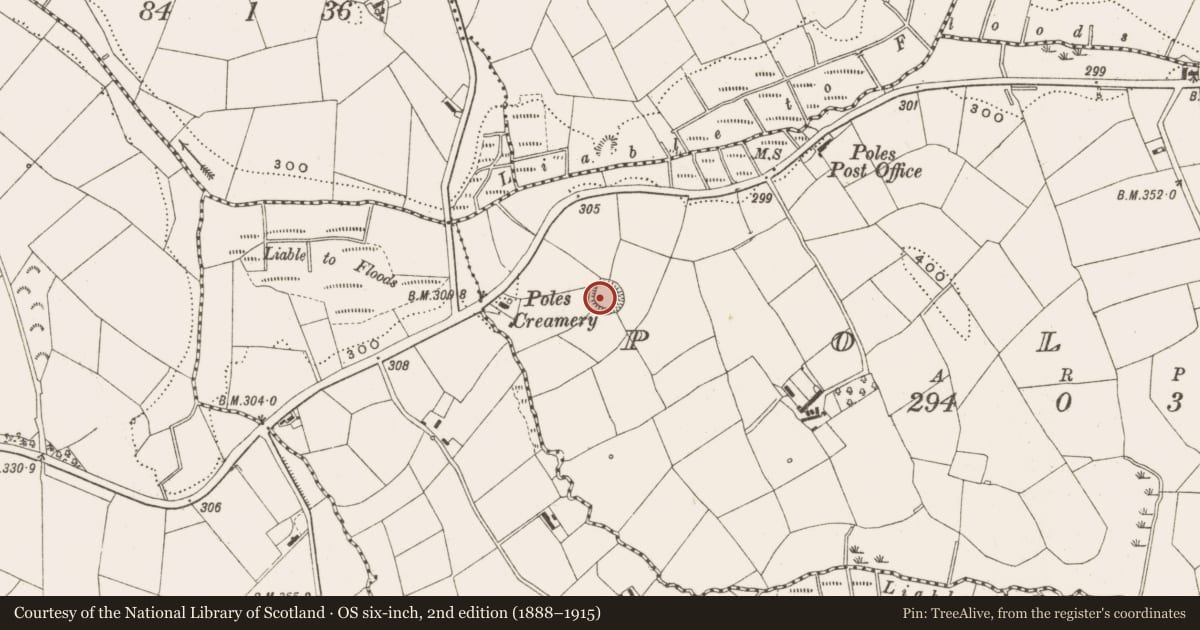 Ordnance Survey six-inch map, 2nd edition (1888–1915) covering the location of Ringfort - rath, Poles, County Cavan, with a pin at the register's coordinates
