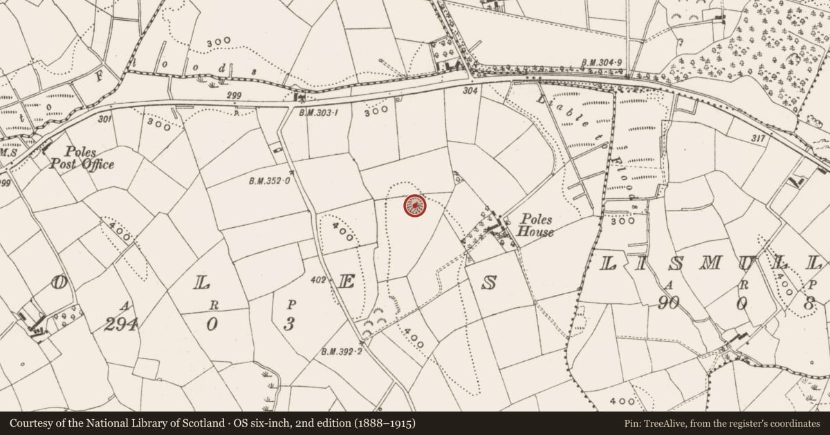 Ordnance Survey six-inch map, 2nd edition (1888–1915) covering the location of Ringfort - rath, Poles, County Cavan, with a pin at the register's coordinates