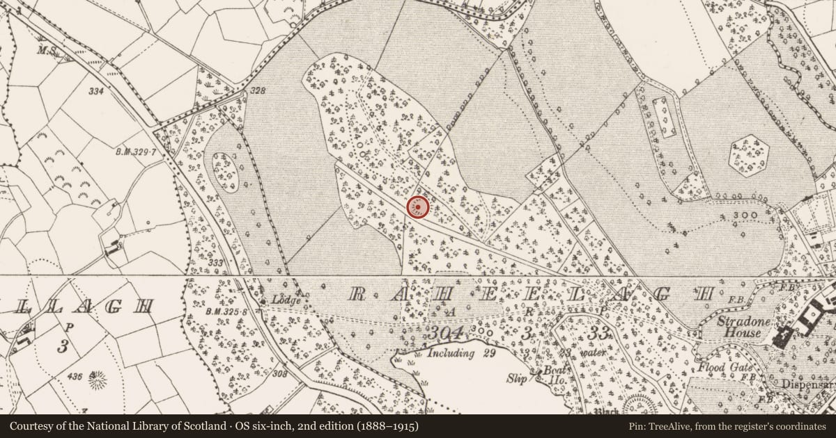 Ordnance Survey six-inch map, 2nd edition (1888–1915) covering the location of Ringfort - rath, Raheelagh, County Cavan, with a pin at the register's coordinates