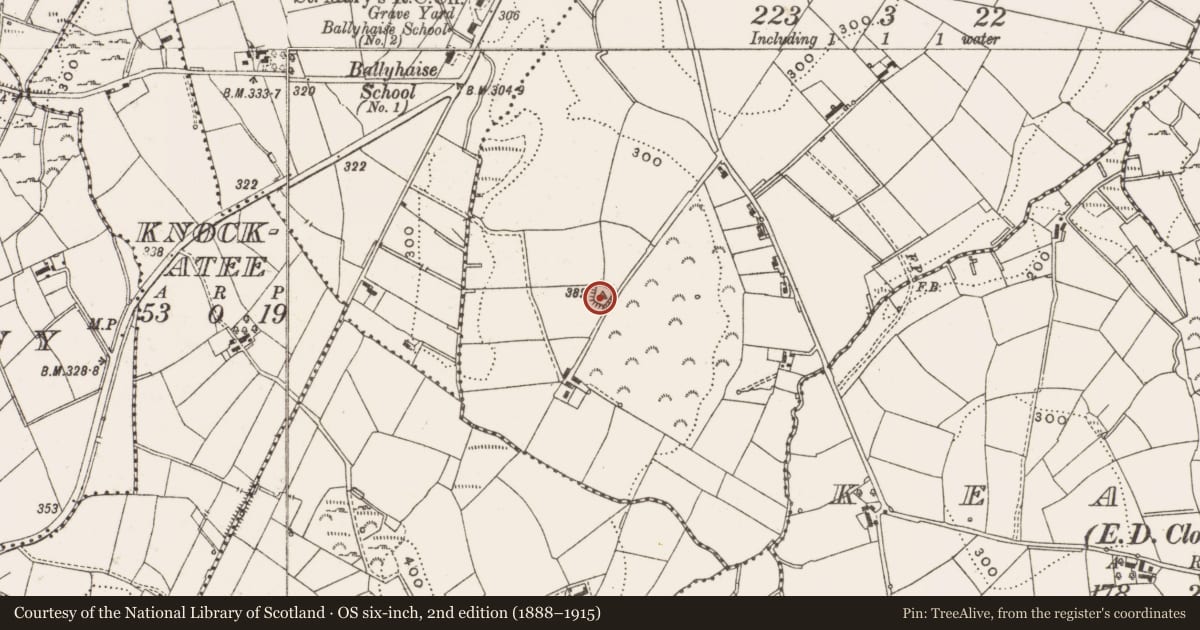 Ordnance Survey six-inch map, 2nd edition (1888–1915) covering the location of Ringfort - rath, Raheg, County Cavan, with a pin at the register's coordinates