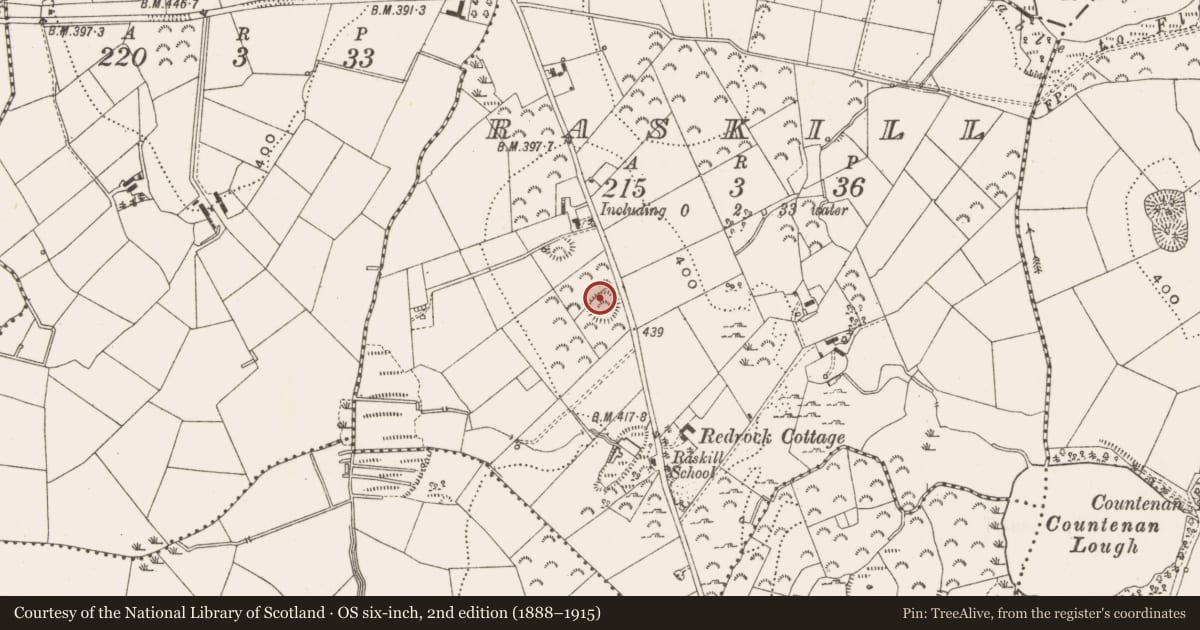Ordnance Survey six-inch map, 2nd edition (1888–1915) covering the location of Ringfort - rath, Raskill, County Cavan, with a pin at the register's coordinates