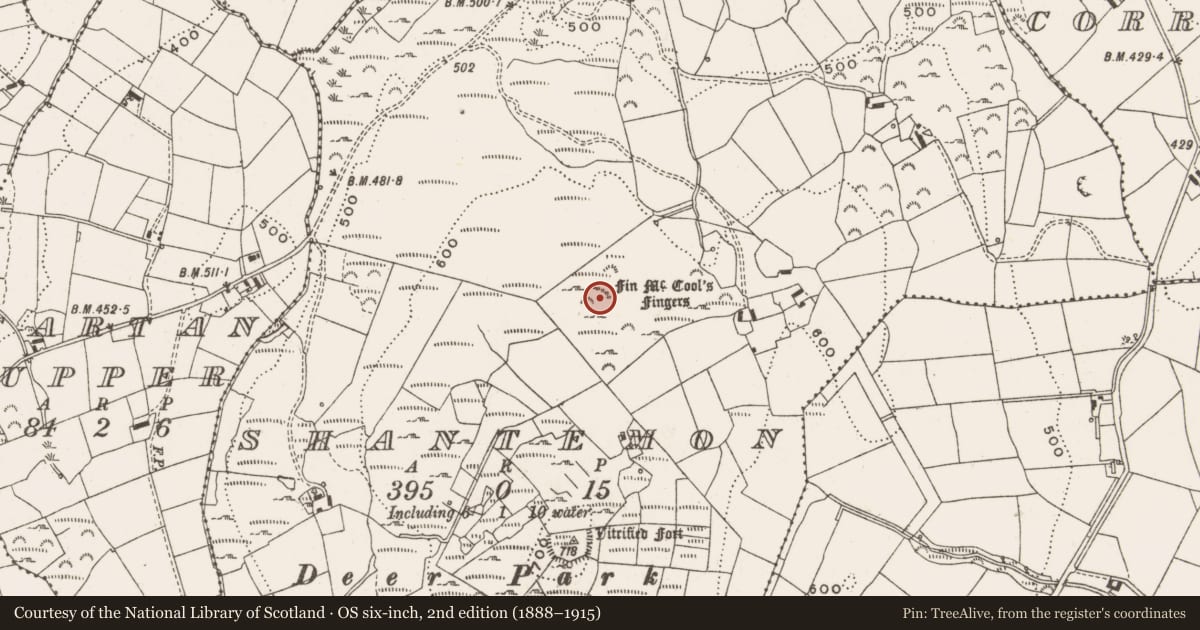 Ordnance Survey six-inch map, 2nd edition (1888–1915) covering the location of Stone row, Shantemon, County Cavan, with a pin at the register's coordinates