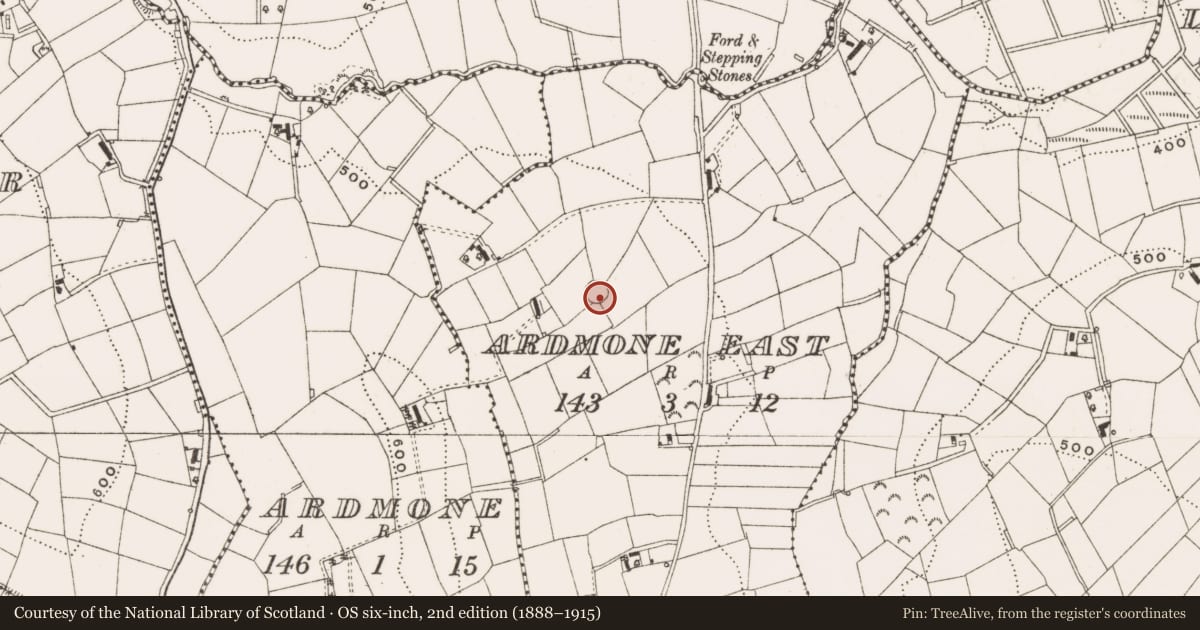 Ordnance Survey six-inch map, 2nd edition (1888–1915) covering the location of Ringfort - rath, Ardmone East, County Cavan, with a pin at the register's coordinates