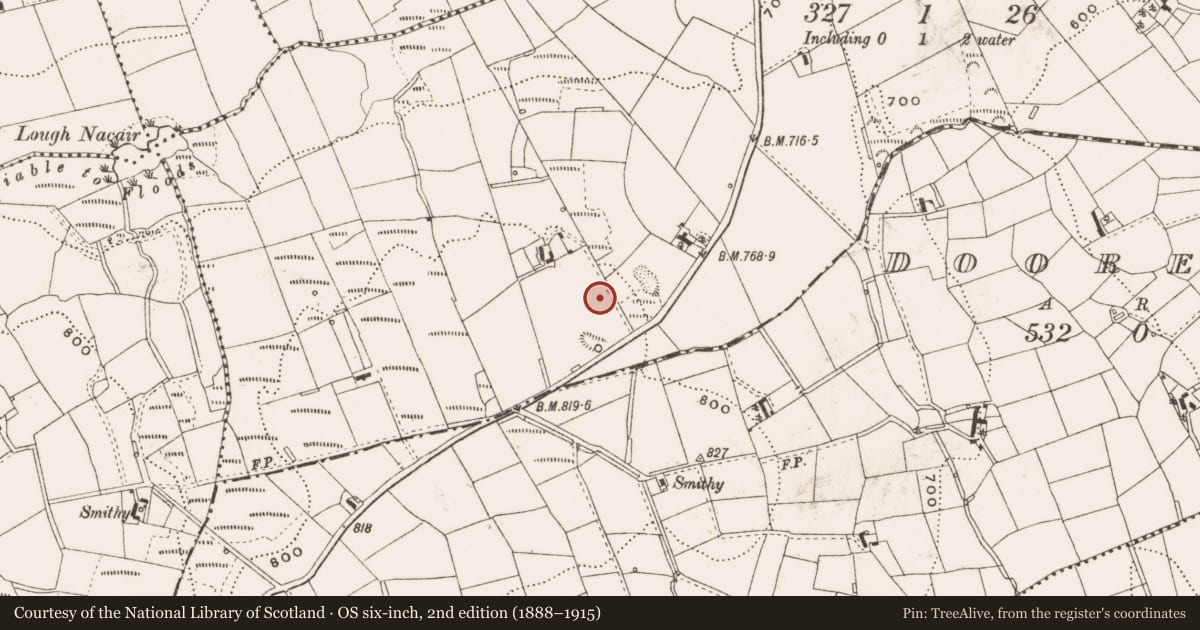 Ordnance Survey six-inch map, 2nd edition (1888–1915) covering the location of Barrow - unclassified, Cornasaus, County Cavan, with a pin at the register's coordinates