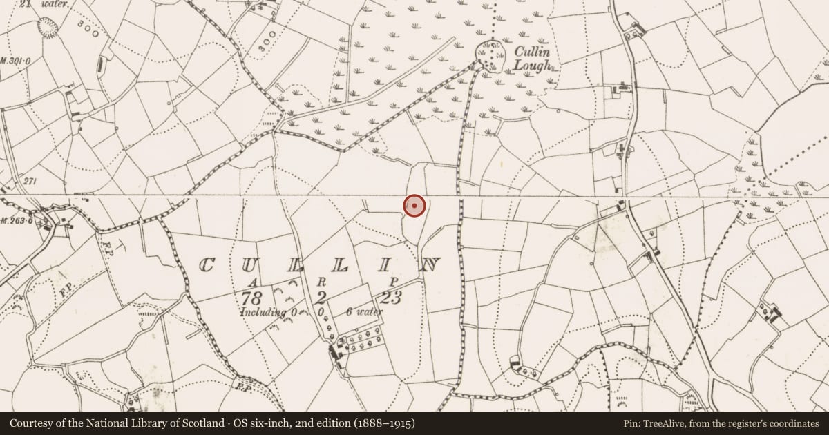 Ordnance Survey six-inch map, 2nd edition (1888–1915) covering the location of Ringfort - rath, Cullin, County Cavan, with a pin at the register's coordinates