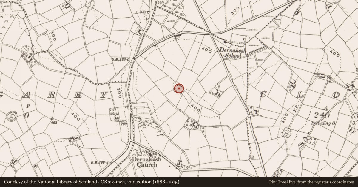 Ordnance Survey six-inch map, 2nd edition (1888–1915) covering the location of Ringfort - rath, Dernakesh, County Cavan, with a pin at the register's coordinates
