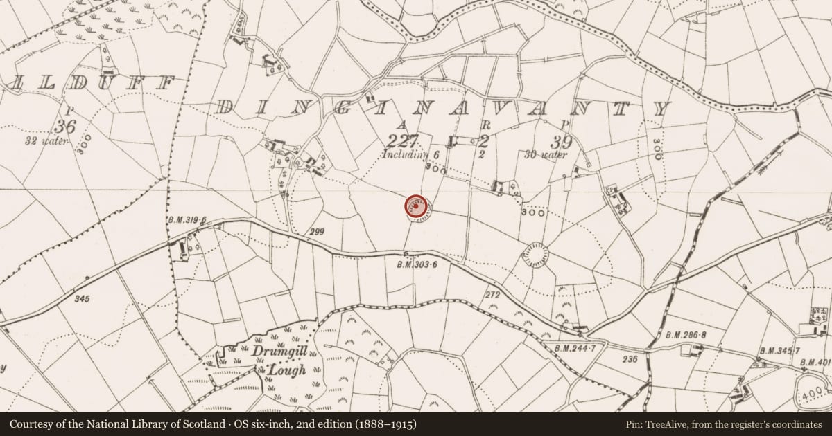 Ordnance Survey six-inch map, 2nd edition (1888–1915) covering the location of Ringfort - rath, Dinginavanty, County Cavan, with a pin at the register's coordinates