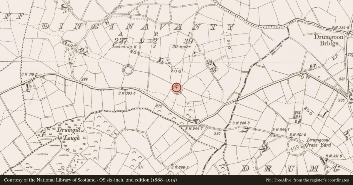 Ordnance Survey six-inch map, 2nd edition (1888–1915) covering the location of Ringfort - rath, Dinginavanty, County Cavan, with a pin at the register's coordinates