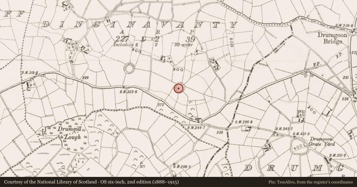 Ordnance Survey six-inch map, 2nd edition (1888–1915) covering the location of Souterrain, Dinginavanty, County Cavan, with a pin at the register's coordinates
