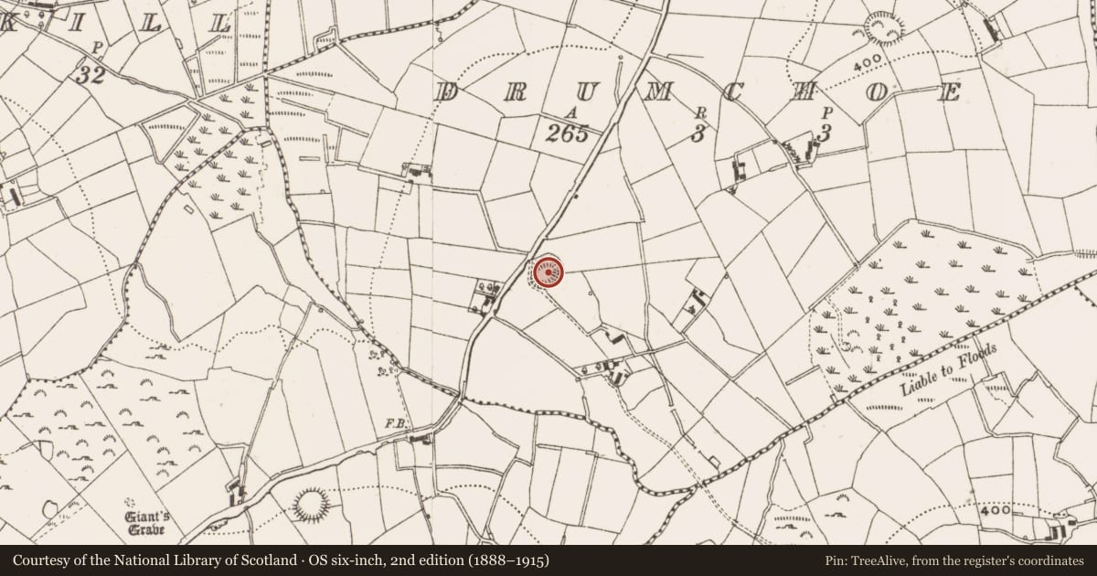 Ordnance Survey six-inch map, 2nd edition (1888–1915) covering the location of Ringfort - rath, Drumchoe, County Cavan, with a pin at the register's coordinates