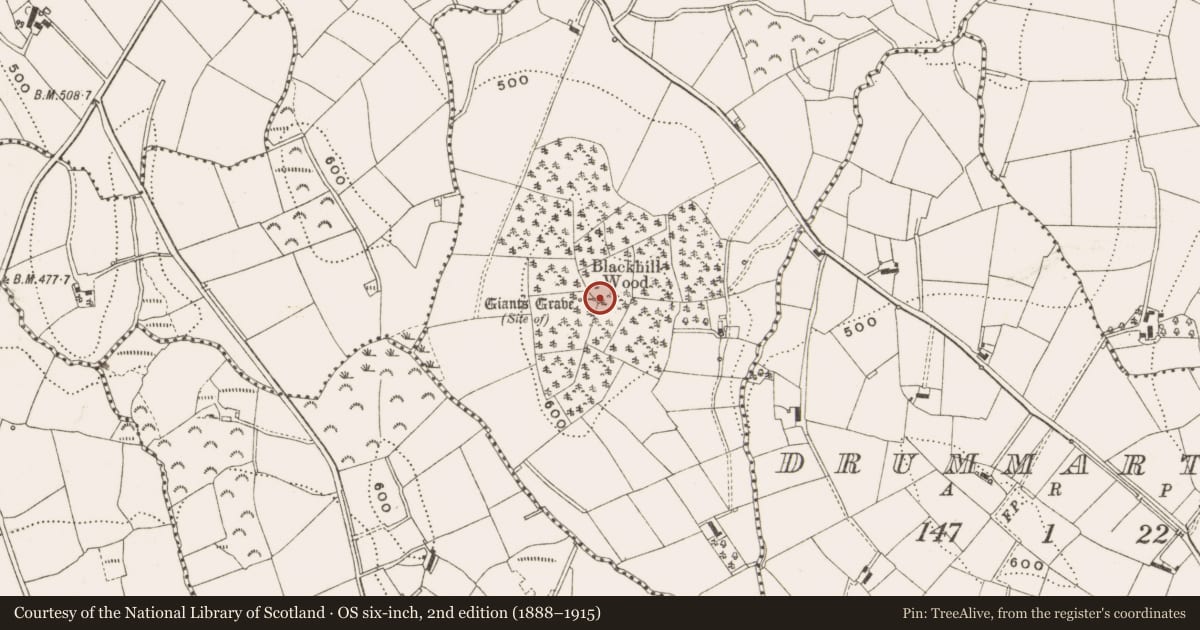 Ordnance Survey six-inch map, 2nd edition (1888–1915) covering the location of Souterrain, Drumeltan, County Cavan, with a pin at the register's coordinates