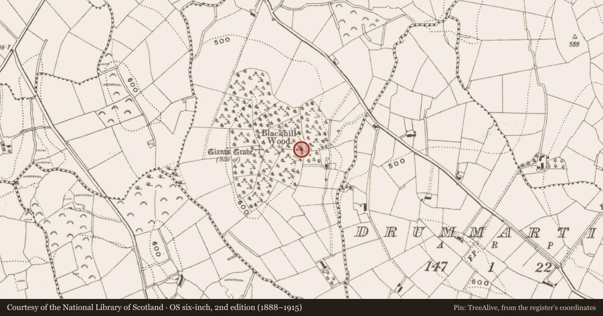 Ordnance Survey six-inch map, 2nd edition (1888–1915) covering the location of Souterrain, Drumeltan, County Cavan, with a pin at the register's coordinates