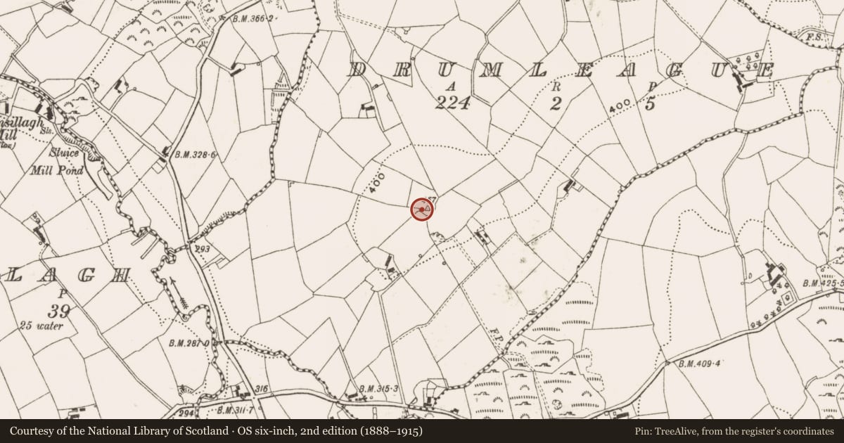 Ordnance Survey six-inch map, 2nd edition (1888–1915) covering the location of Ringfort - rath, Drumleague, County Cavan, with a pin at the register's coordinates