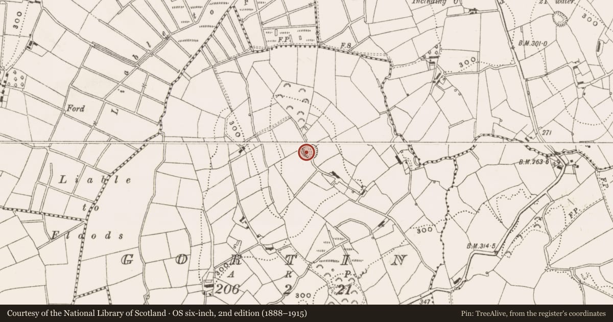 Ordnance Survey six-inch map, 2nd edition (1888–1915) covering the location of Ringfort - rath, Gortin, County Cavan, with a pin at the register's coordinates