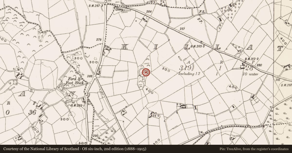 Ordnance Survey six-inch map, 2nd edition (1888–1915) covering the location of Ringfort - rath, Killatee, County Cavan, with a pin at the register's coordinates