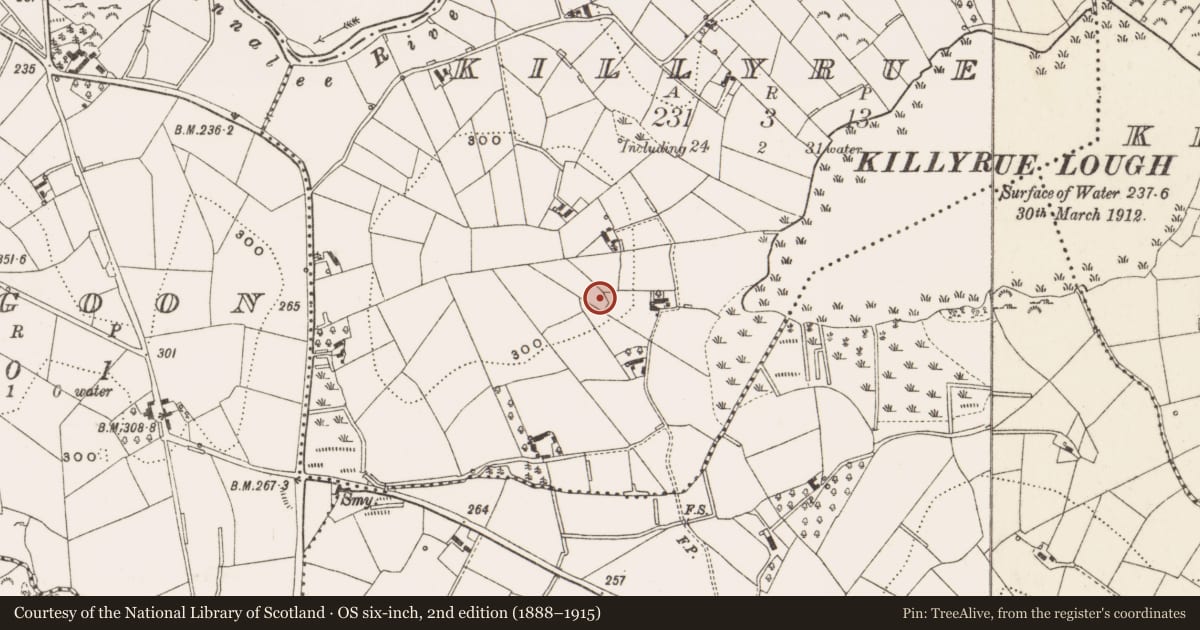 Ordnance Survey six-inch map, 2nd edition (1888–1915) covering the location of Ringfort - rath, Killyrue, County Cavan, with a pin at the register's coordinates