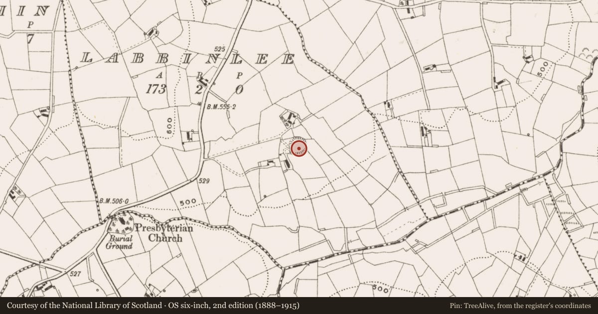 Ordnance Survey six-inch map, 2nd edition (1888–1915) covering the location of Ringfort - rath, Labbinlee, County Cavan, with a pin at the register's coordinates