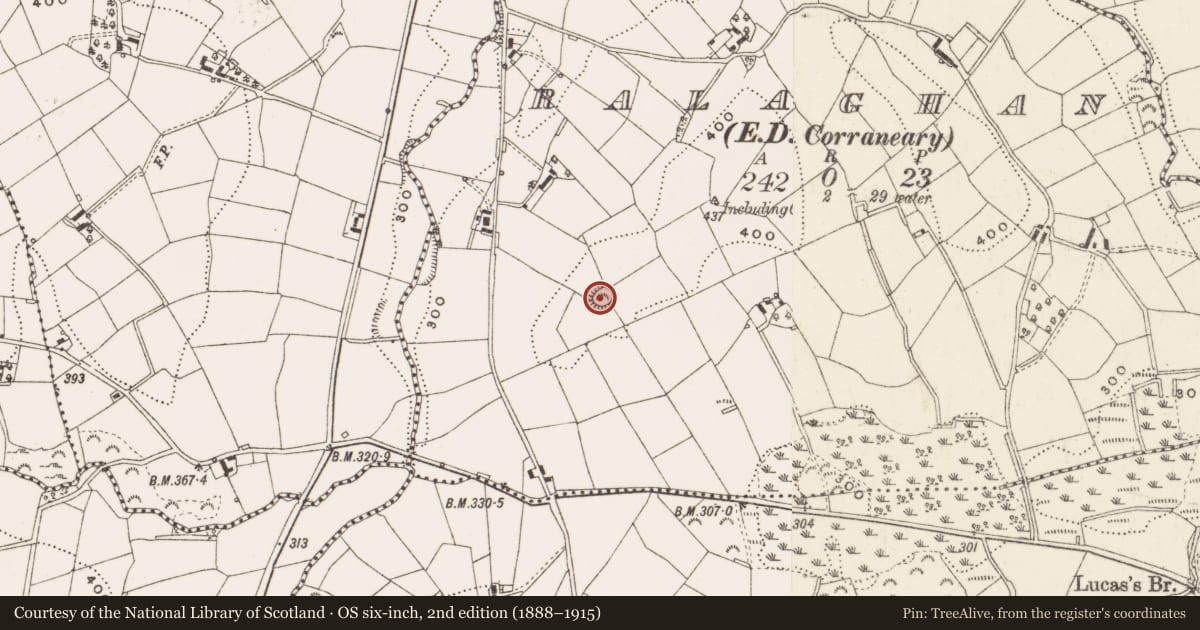Ordnance Survey six-inch map, 2nd edition (1888–1915) covering the location of Ringfort - rath, Ralaghan, County Cavan, with a pin at the register's coordinates