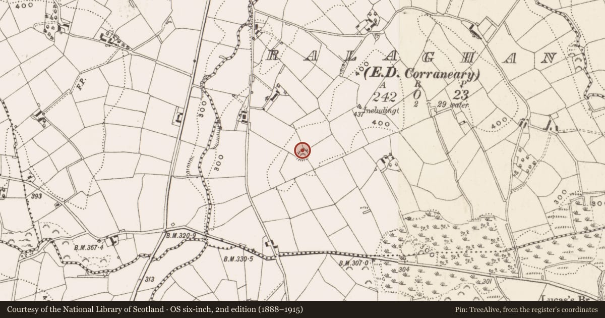 Ordnance Survey six-inch map, 2nd edition (1888–1915) covering the location of Souterrain, Ralaghan, County Cavan, with a pin at the register's coordinates