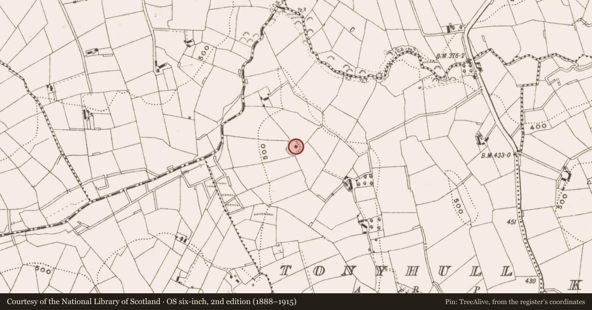 Ordnance Survey six-inch map, 2nd edition (1888–1915) covering the location of Souterrain, Tonyhull, County Cavan, with a pin at the register's coordinates