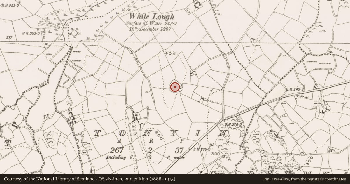 Ordnance Survey six-inch map, 2nd edition (1888–1915) covering the location of Ringfort - rath, Tonyin, County Cavan, with a pin at the register's coordinates