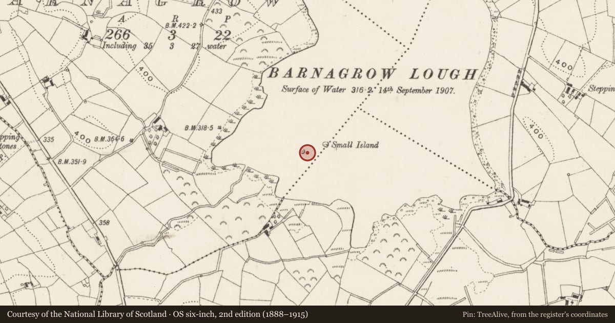 Ordnance Survey six-inch map, 2nd edition (1888–1915) covering the location of Crannog, Barnagrow, County Cavan, with a pin at the register's coordinates
