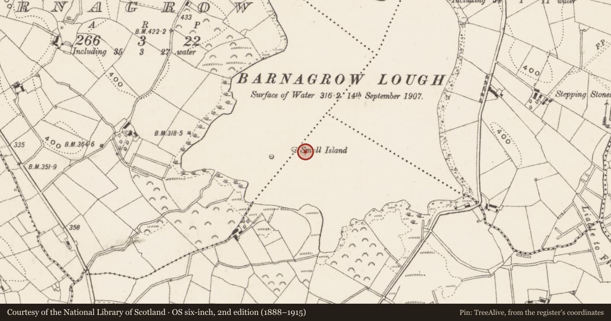 Ordnance Survey six-inch map, 2nd edition (1888–1915) covering the location of Crannog, Barnagrow, Cullies, County Cavan, with a pin at the register's coordinates
