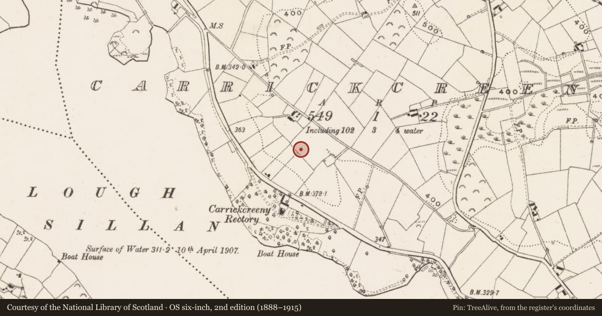 Ordnance Survey six-inch map, 2nd edition (1888–1915) covering the location of Ringfort - rath, Carrickcreeny, County Cavan, with a pin at the register's coordinates
