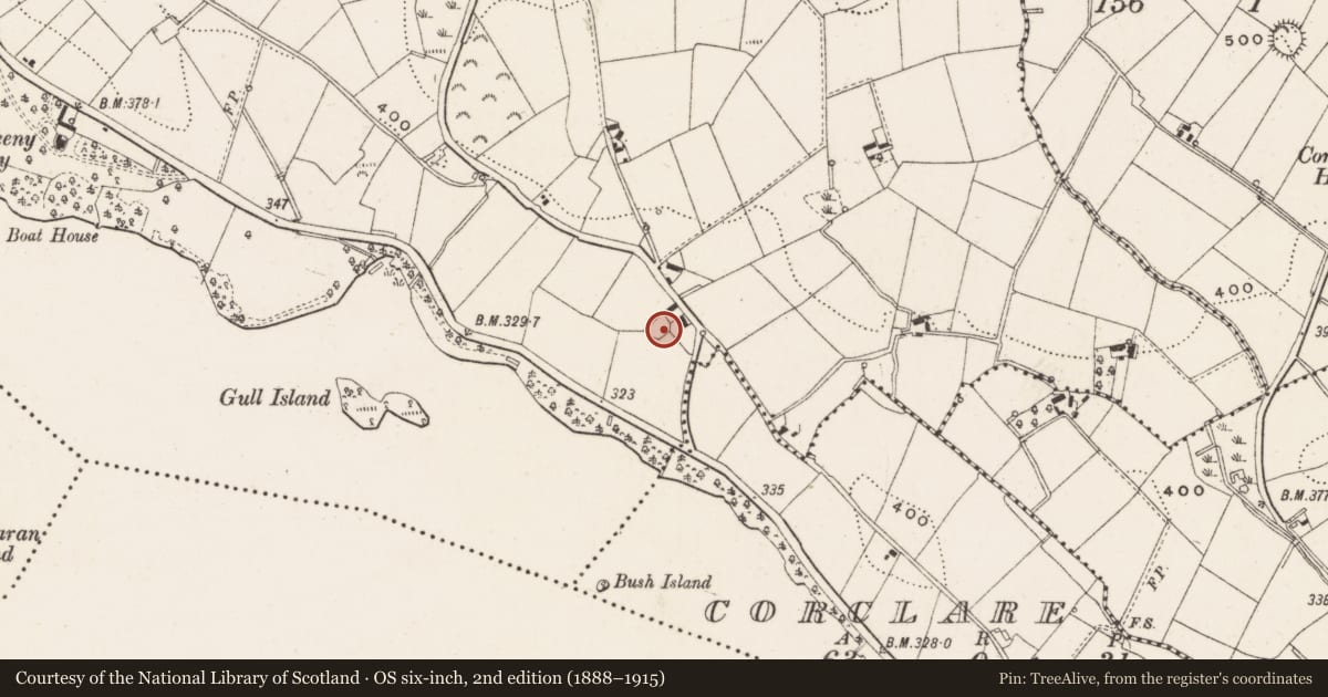 Ordnance Survey six-inch map, 2nd edition (1888–1915) covering the location of Ringfort - rath, Carrickcreeny, County Cavan, with a pin at the register's coordinates